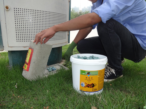 白蟻防治方法有哪些？